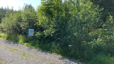 Terreno en Egg, Austria No. 101992