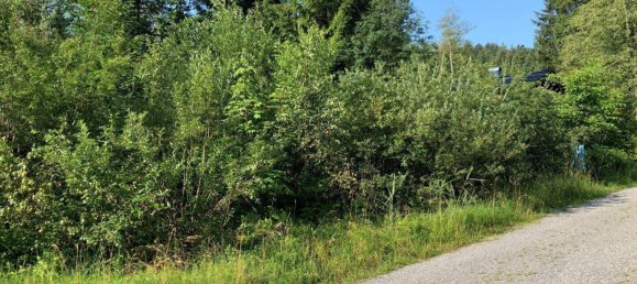 Terreno en Egg, Austria No. 101992 8