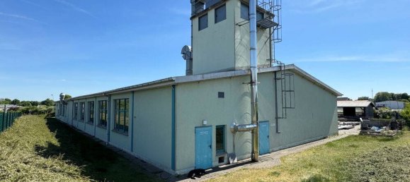 878m² Warehouse in Mecklenburgische Seenplatte, Germany No. 149597 10