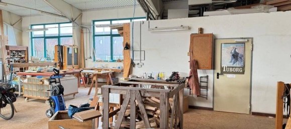 878m² Warehouse in Mecklenburgische Seenplatte, Germany No. 149597 8