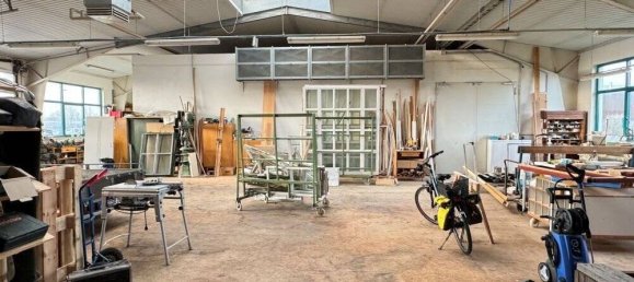 878m² Warehouse in Mecklenburgische Seenplatte, Germany No. 149597 7