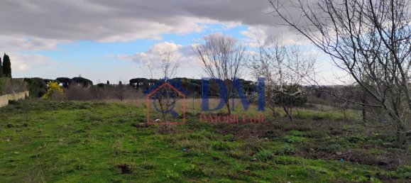 8010m² Land in Rome, Italy No. 96304 11