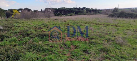 8010m² Land in Rome, Italy No. 96304 15
