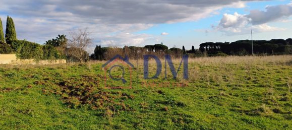 8010m² Land in Rome, Italy No. 96304 5