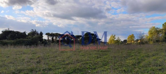 8010m² Land in Rome, Italy No. 96304 7