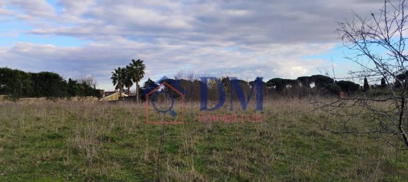 8010m² Land in Rome, Italy No. 96304 9