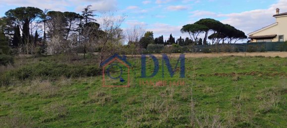 8010m² Land in Rome, Italy No. 96304 13