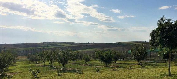 Коммерческая недвижимость с 5 спальнями в Термаикос, Греция № 4698 11