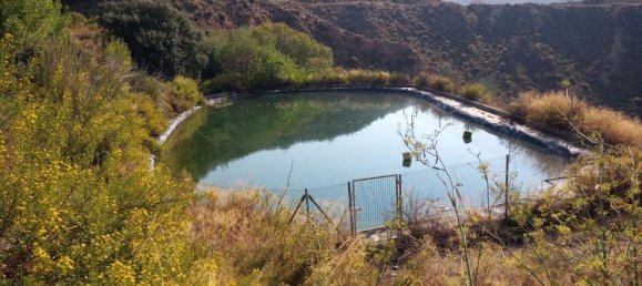 5 bedrooms Villa in Mallorca, Spain No. 14152 6