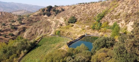 5 bedrooms Villa in Mallorca, Spain No. 14152 3