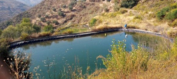 5 bedrooms Villa in Mallorca, Spain No. 14152 5