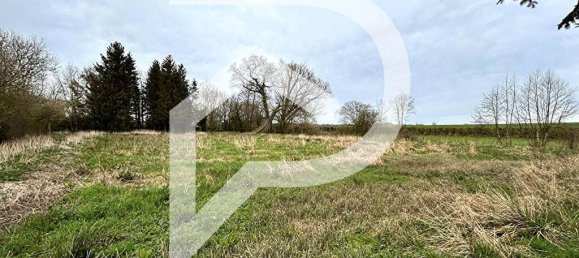 15000m² Land in Grand-Fayt, France No. 75837 5