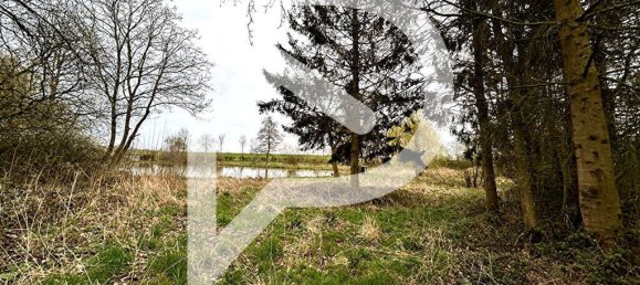 15000m² Land in Grand-Fayt, France No. 75837 8