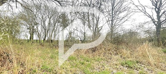 15000m² Land in Grand-Fayt, France No. 75837 13