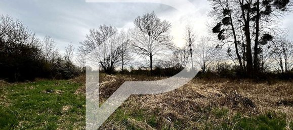 15000m² Land in Grand-Fayt, France No. 75837 6