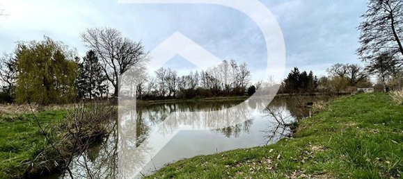 15000m² Land in Grand-Fayt, France No. 75837 4