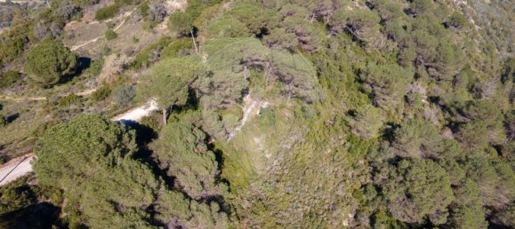 8250m² Land in Setubal, Portugal No. 73680 16