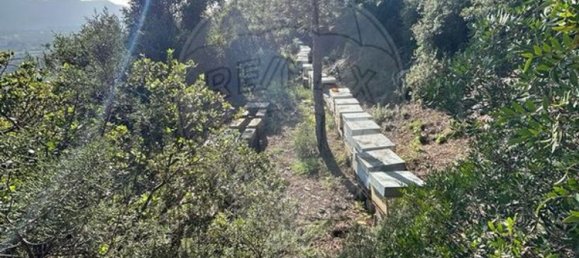 8250m² Land in Setubal, Portugal No. 73680 6