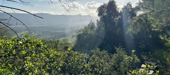 8250m² Land in Setubal, Portugal No. 73680 14