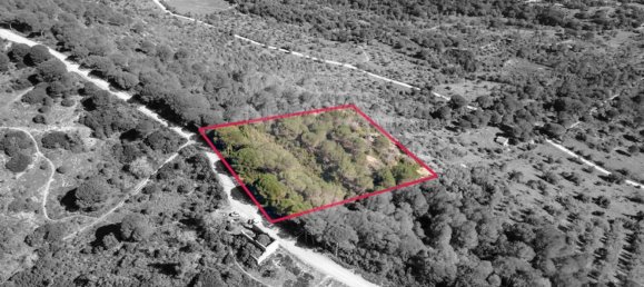 8250m² Land in Setubal, Portugal No. 73680 3
