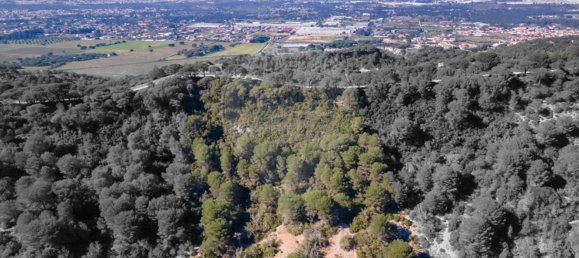 8250m² Land in Setubal, Portugal No. 73680 2