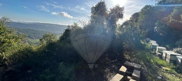 8250m² Land in Setubal, Portugal No. 73680 9