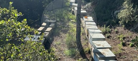 8250m² Land in Setubal, Portugal No. 73680 13