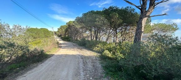 8250m² Land in Setubal, Portugal No. 73680 11
