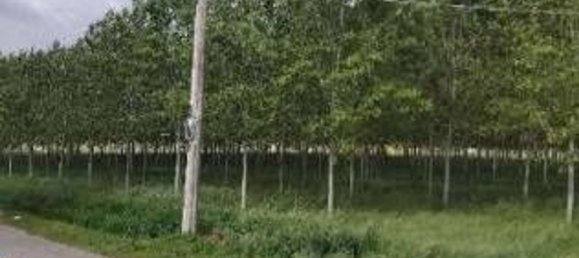 23251m² Land in Lendinara, Italy No. 322216 8