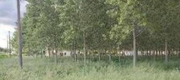 23251m² Land in Lendinara, Italy No. 322216 3