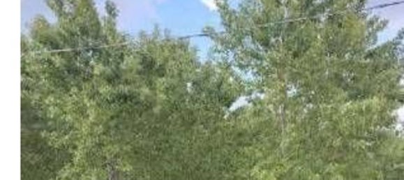 23251m² Land in Lendinara, Italy No. 322216 4