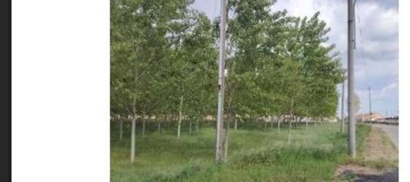 23251m² Land in Lendinara, Italy No. 322216 10