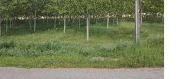 23251m² Land in Lendinara, Italy No. 322216 9