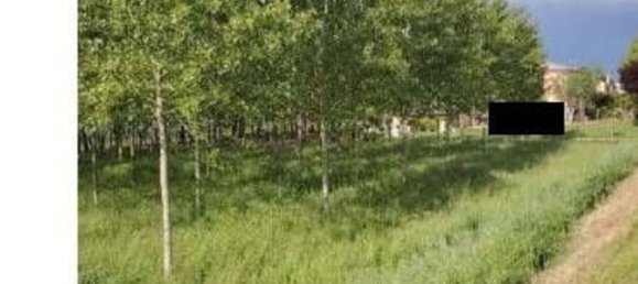 23251m² Land in Lendinara, Italy No. 322216 6