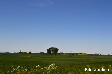 Terrain à Oberhavel, Germany No. 33264