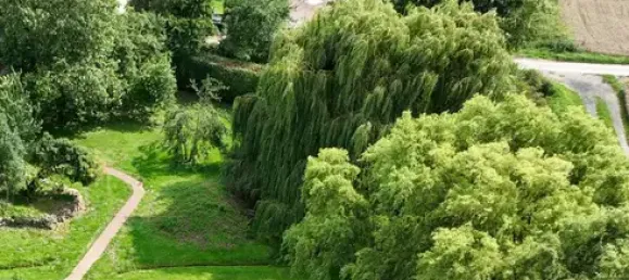 Edifício T16 em Mayen-Koblenz, Germany N.º 362670 4