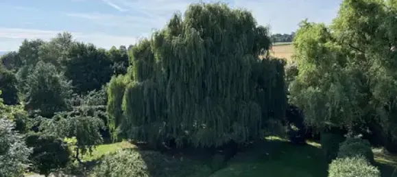 Edifício T16 em Mayen-Koblenz, Germany N.º 362670 9