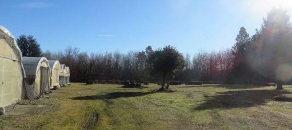 40000m² Land in Varallo Pombia, Italy No. 49737 14