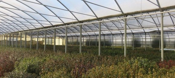 40000m² Land in Varallo Pombia, Italy No. 49737 3