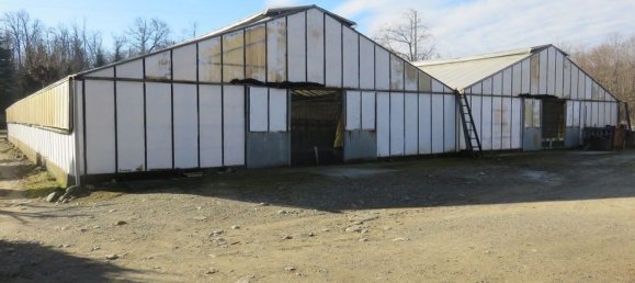 40000m² Land in Varallo Pombia, Italy No. 49737 20