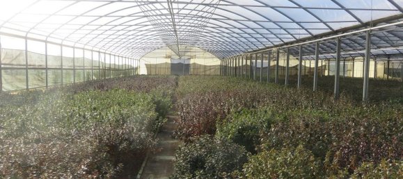 40000m² Land in Varallo Pombia, Italy No. 49737 2