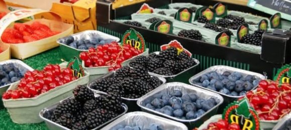 2 bedrooms House in Paris, France No. 308888 2