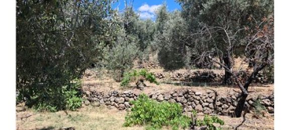 Terrain à Castelmola, Italy 1800m² No. 290211 14