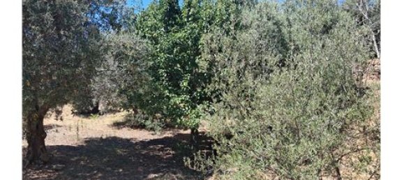 Terrain à Castelmola, Italy 1800m² No. 290211 19