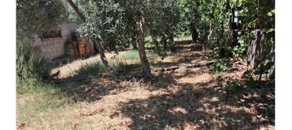 Terrain à Castelmola, Italy 1800m² No. 290211 25