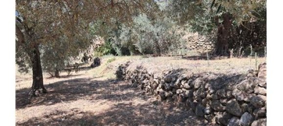 Terrain à Castelmola, Italy 1800m² No. 290211 10