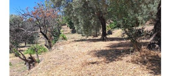 Terrain à Castelmola, Italy 1800m² No. 290211 11