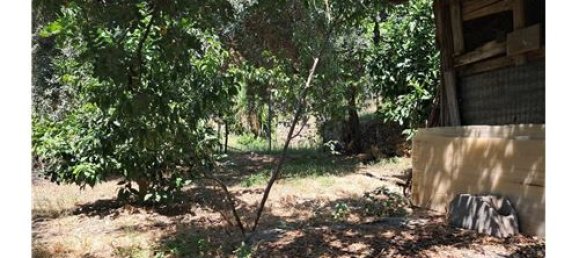 Terrain à Castelmola, Italy 1800m² No. 290211 24