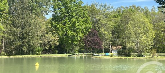 4 bedrooms House in Selles-sur-Cher, France No. 69538 3