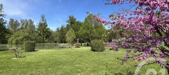 4 bedrooms House in Selles-sur-Cher, France No. 69538 5